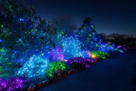 What to know about lights at Denver Botanic Gardens in 2023